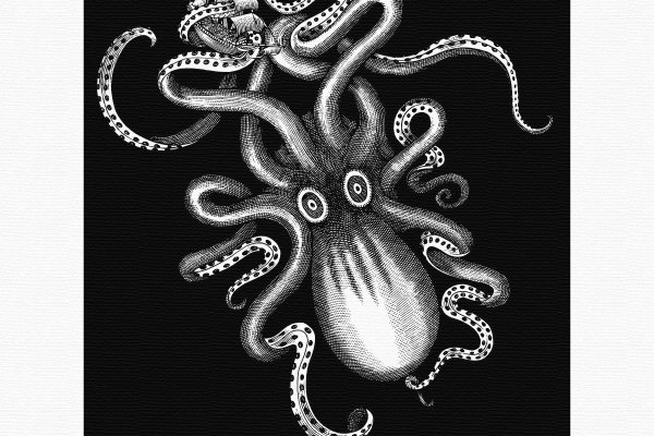Kraken istand onion