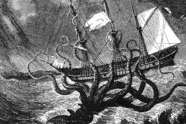 Kraken19 at