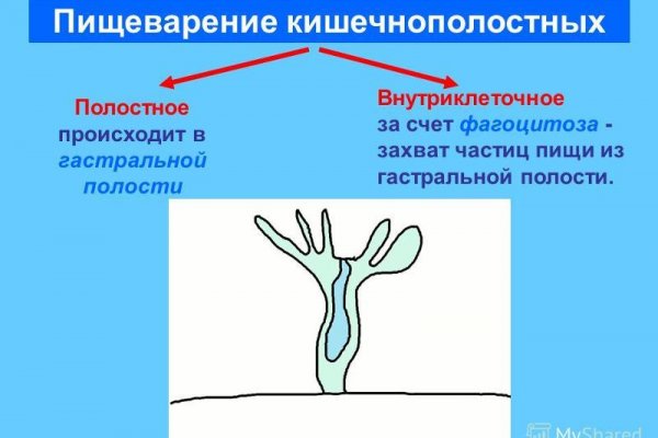 Ссылка на кракен тор