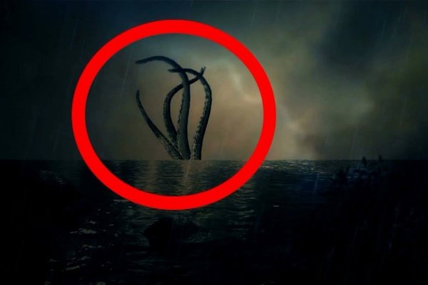 Kraken 12