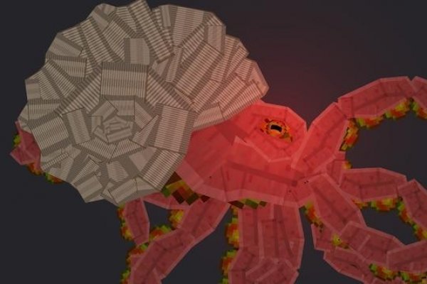 Kraken link